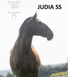 Judia SS